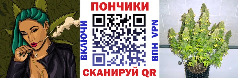Продажа наркотиков Шатура A PVP  Амфетамин  ГАШИШ  Канабис  МЕФ 