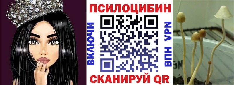 Галлюциногенные грибы Psilocybine cubensis  Шатура 